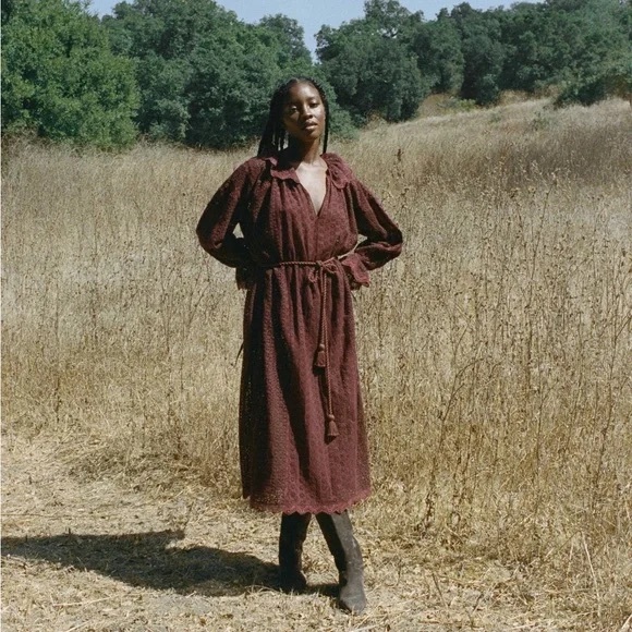 DOEN Persephone Dress - Antique Walnut XXS - Picture 1 of 11